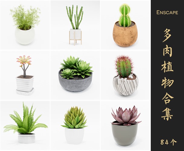 Enscape多肉植物SketchUp模型库草图大师SU模型VOL.080