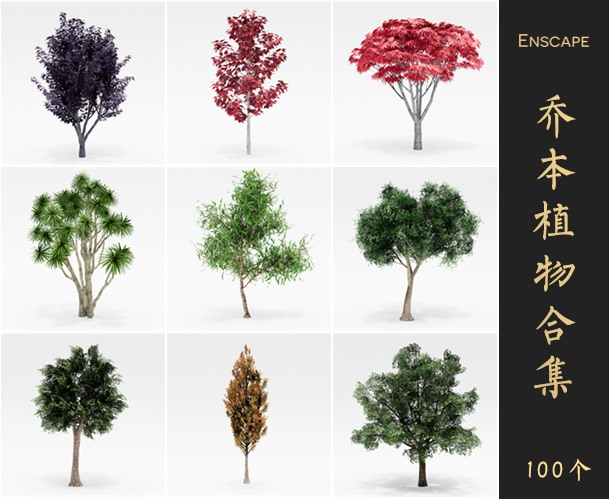 Enscape树景观植物SketchUp模型库草图大师SU模型VOL.081