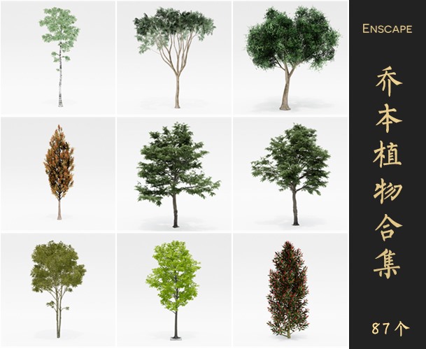 Enscape树景观植物SketchUp模型库草图大师SU模型VOL.082