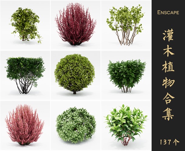 Enscape灌木景观植物SketchUp模型库草图大师SU模型VOL.083