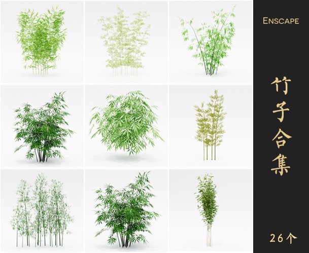 Enscape竹子景观植物SketchUp模型库草图大师SU模型VOL.084