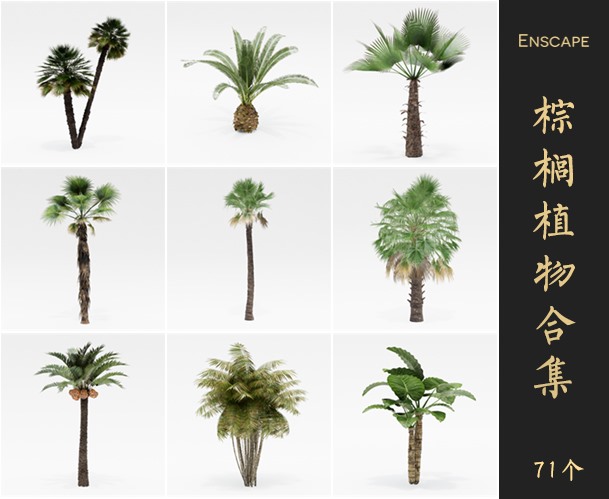 Enscape棕榈景观植物SketchUp模型库草图大师SU模型VOL.086