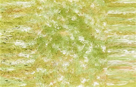 Enscape草地材质贴图下载023