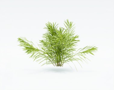 小草植物SketchUp草图大师SU模型下载126