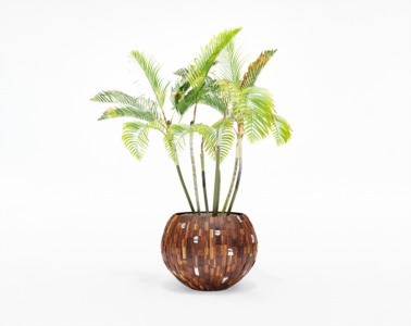 盆栽植物SketchUp草图大师模型下载045