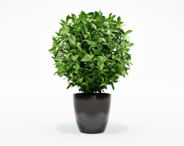盆栽植物SketchUp草图大师模型下载058