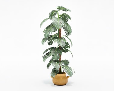 盆栽植物SketchUp草图大师模型下载195