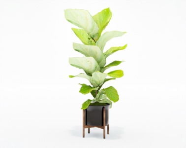 盆栽植物SketchUp草图大师模型下载201