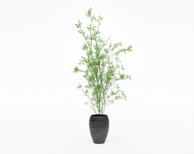盆栽植物SketchUp草图大师模型下载202