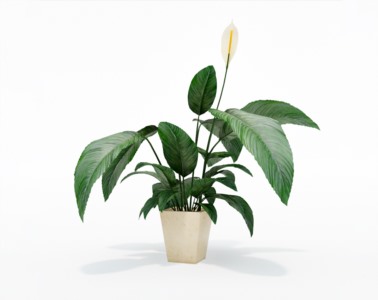 盆栽植物SketchUp草图大师模型下载208