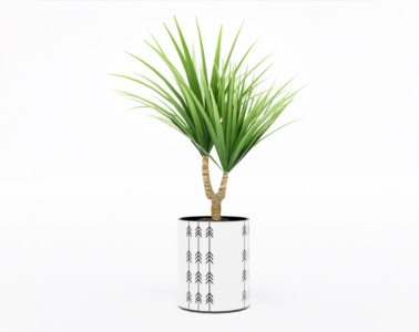 盆栽植物SketchUp草图大师模型下载214