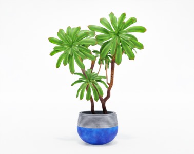 盆栽植物SketchUp草图大师模型下载221