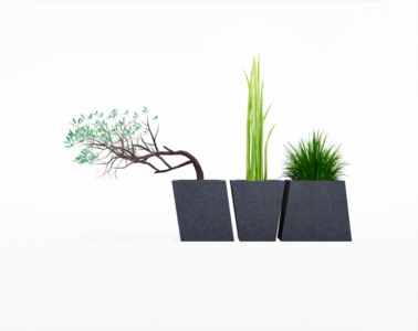 盆栽植物SketchUp草图大师模型下载351
