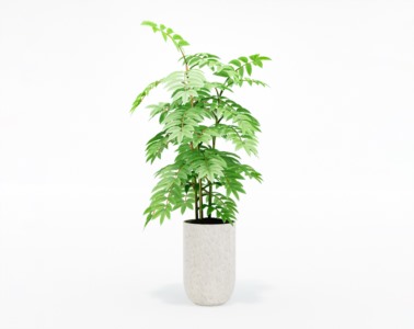 盆栽植物SketchUp草图大师模型下载366