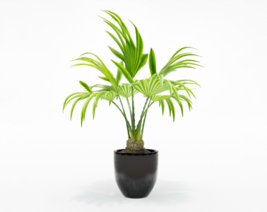 盆栽植物SketchUp草图大师模型下载372
