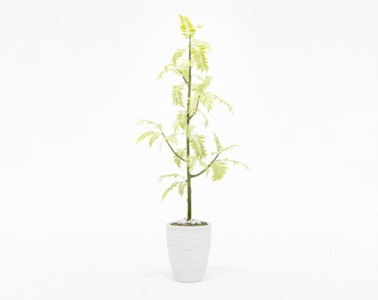 盆栽植物SketchUp草图大师模型下载377