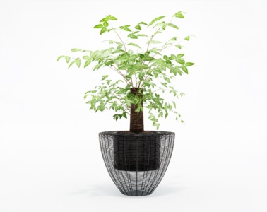 盆栽植物SketchUp草图大师模型下载380