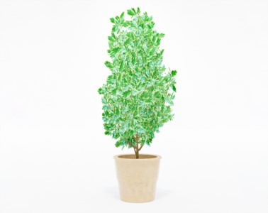 盆栽植物SketchUp草图大师模型下载513
