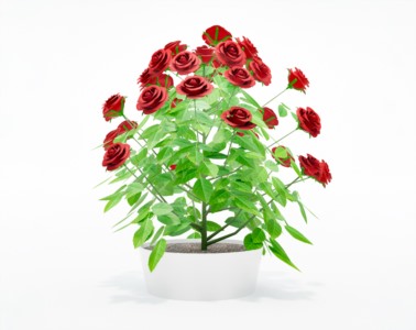 盆栽植物SketchUp草图大师模型下载516