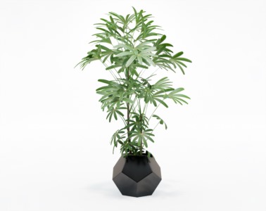 盆栽植物SketchUp草图大师模型下载517