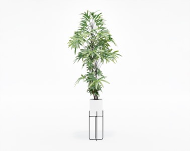 盆栽植物SketchUp草图大师模型下载521