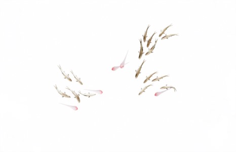 墙饰挂饰SketchUp草图大师SU模型下载091