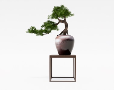 盆景植物SketchUp草图大师SU模型下载015