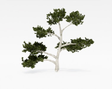 盆景植物SketchUp草图大师SU模型下载016