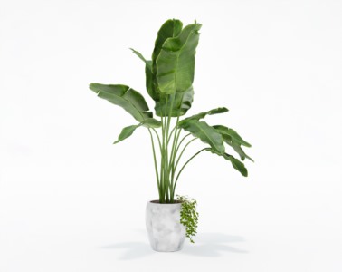 盆栽植物SketchUp草图大师模型下载069