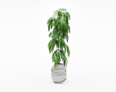 盆栽植物SketchUp草图大师模型下载071