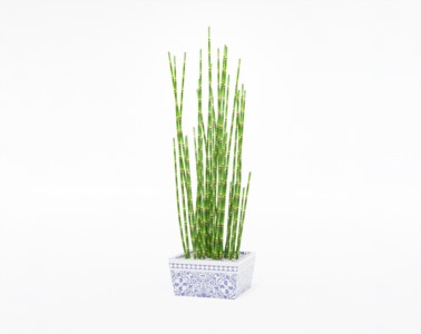 盆栽植物SketchUp草图大师模型下载072