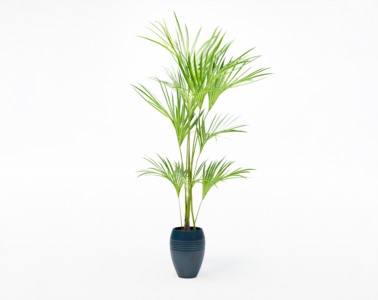 盆栽植物SketchUp草图大师模型下载228