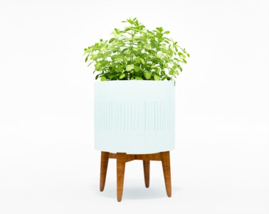 盆栽植物SketchUp草图大师模型下载229