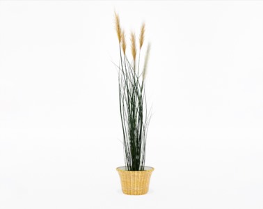 盆栽植物SketchUp草图大师模型下载239