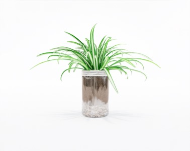 盆栽植物SketchUp草图大师模型下载381