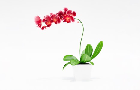 花艺饰品摆设SketchUp草图大师模型下载074
