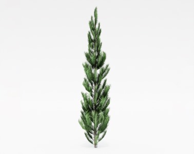 针叶乔木植物SketchUp草图大师SU模型下载031