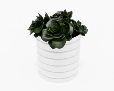 多肉植物SketchUp草图大师SU模型下载008