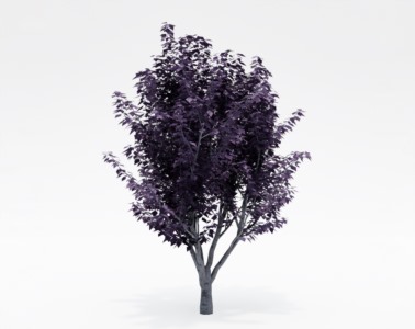 树木乔本植物SketchUp草图大师SU模型下载002