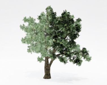 树木乔本植物SketchUp草图大师SU模型下载127