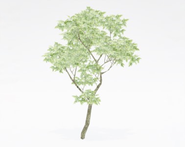 树木乔本植物SketchUp草图大师SU模型下载146