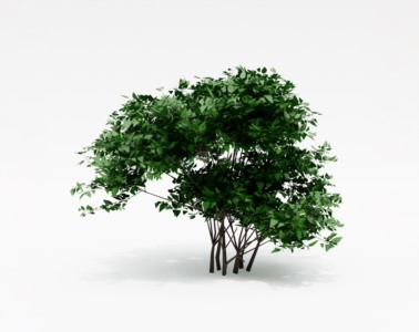 灌木植物SketchUp草图大师SU模型下载090