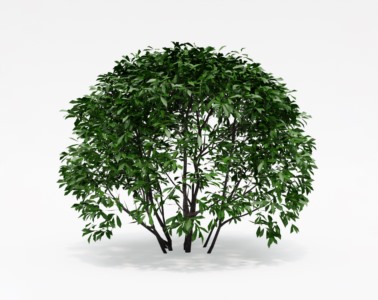 灌木植物SketchUp草图大师SU模型下载094