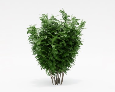 灌木植物SketchUp草图大师SU模型下载102