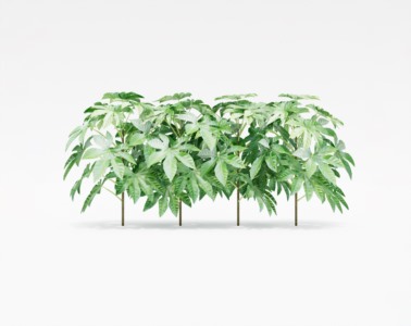 灌木植物SketchUp草图大师SU模型下载105