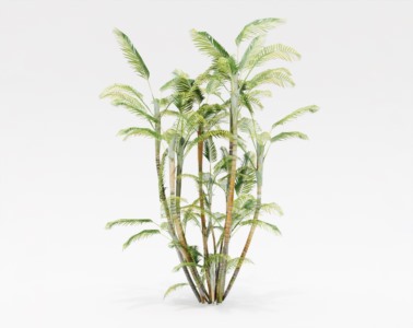 棕榈植物SketchUp草图大师SU模型下载023