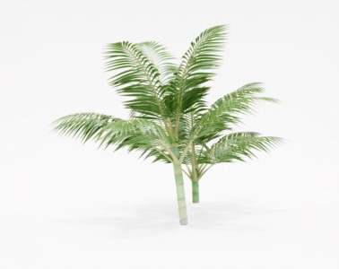 棕榈植物SketchUp草图大师SU模型下载040