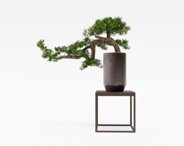 盆景植物SketchUp草图大师SU模型下载043