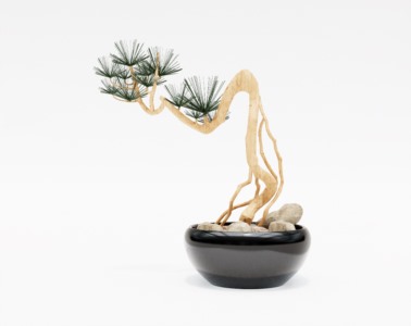 盆景植物SketchUp草图大师SU模型下载049