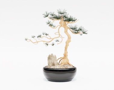 盆景植物SketchUp草图大师SU模型下载050